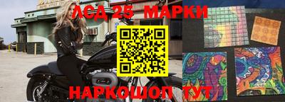 прущие грибы Комсомольск-на-Амуре