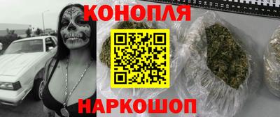 прущие грибы Комсомольск-на-Амуре