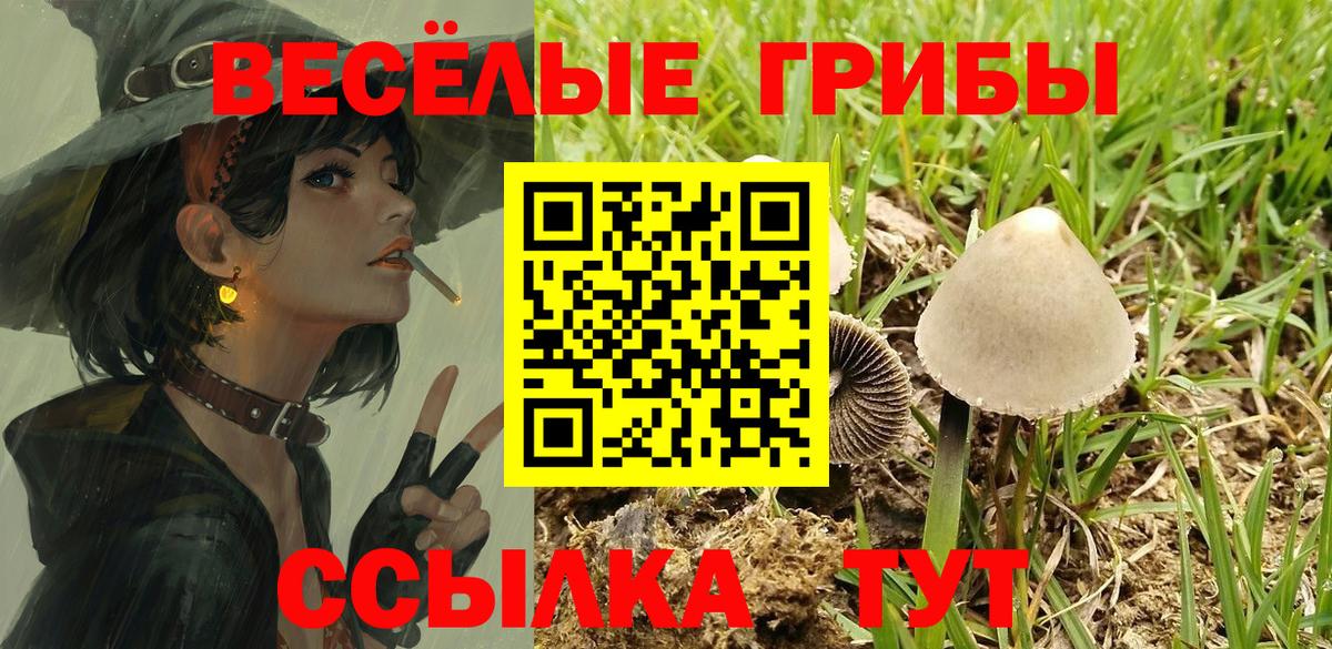 Галлюциногенные грибы мухоморы  Вход с VPN  Ипатово 